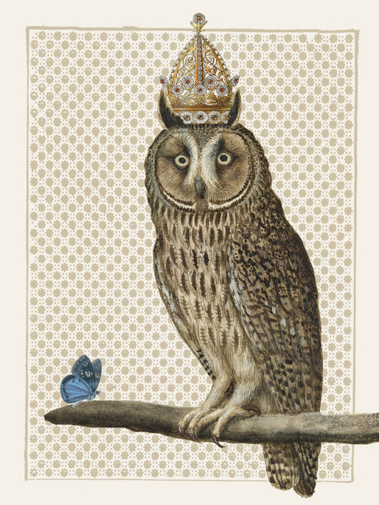 Plakat King Owl
