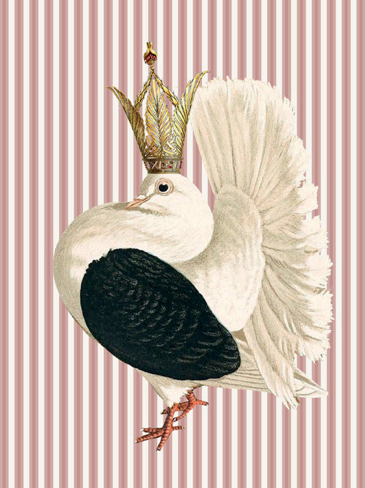 Plakat Queen Dove